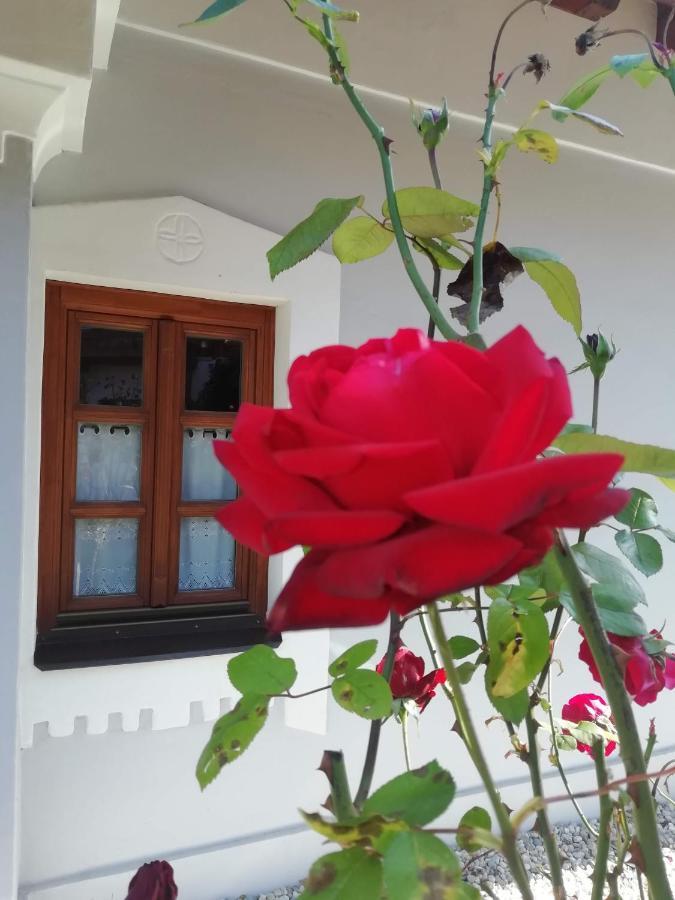 Hotel Aracsi Vendeghaz Balatonfüred Exterior foto